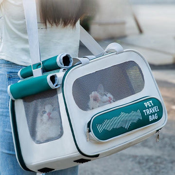 Collapsible Pet Travel Carrier Bag